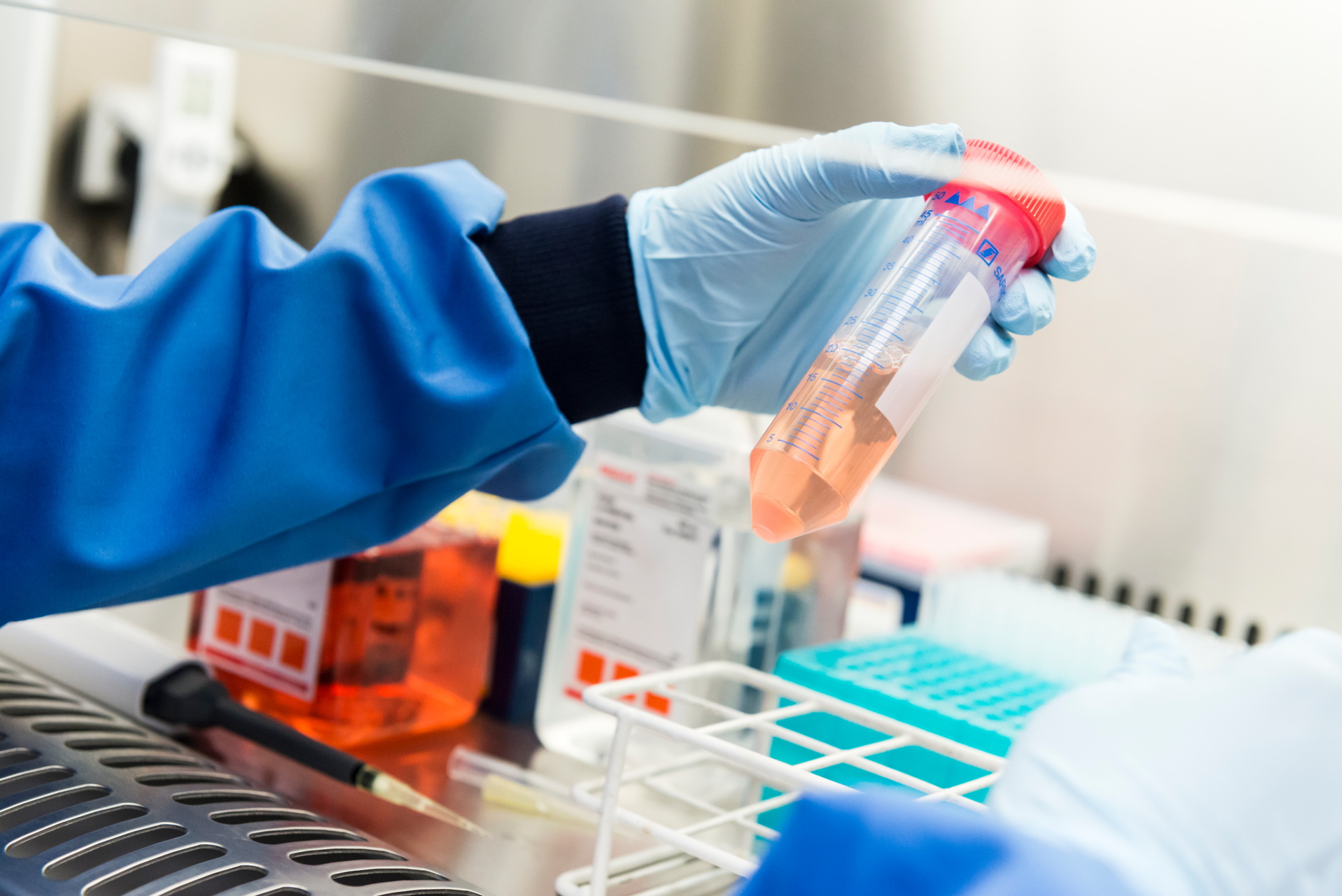 Drug research-15_324 ICL NHLI-101