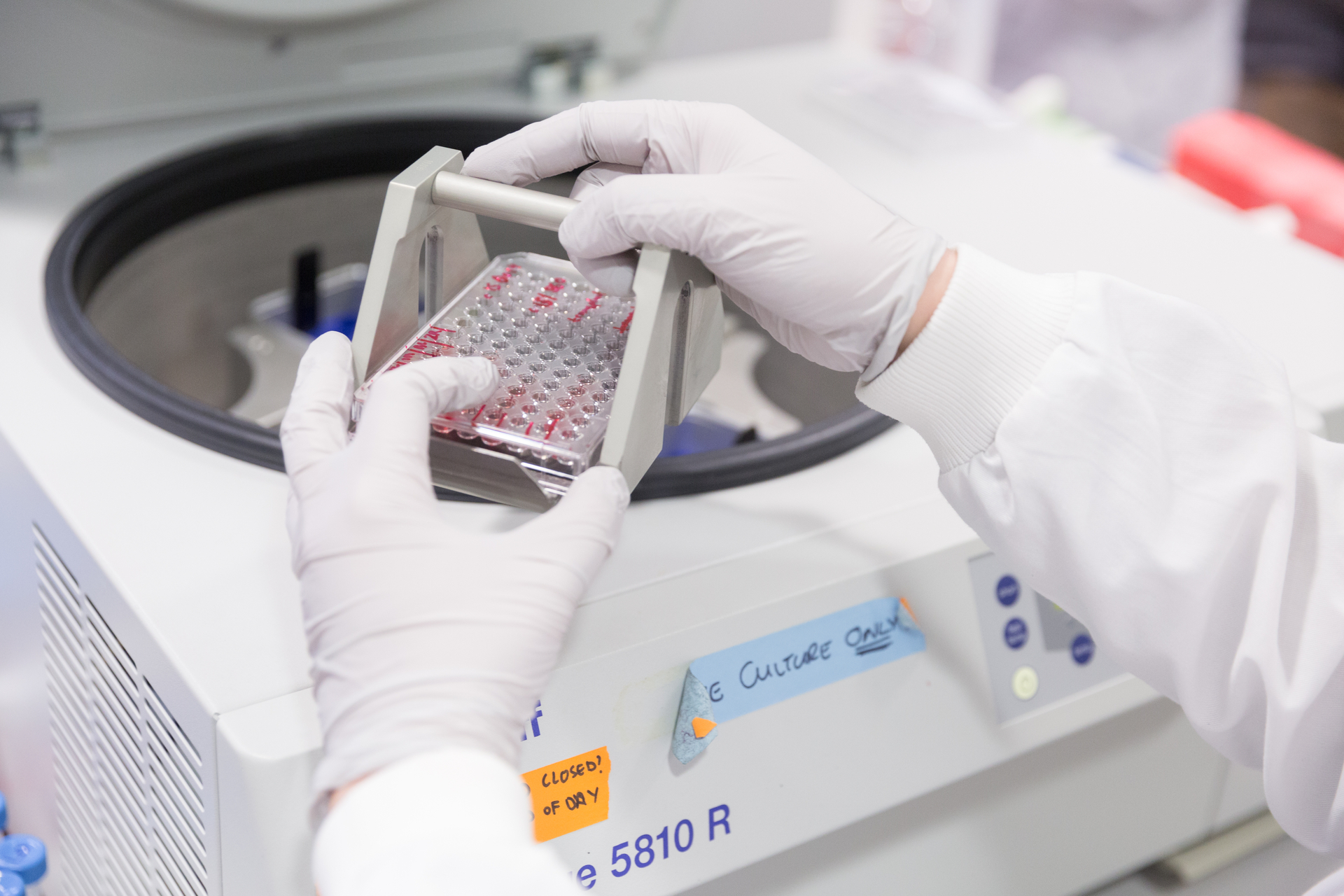 Cytometry 180105_cristina_lo_celso_stemcellbiology_052